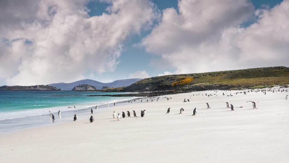 Islas-Malvinas-scaled-1