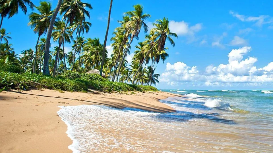 Playa-de-Praia-do-Forte-Brasil
